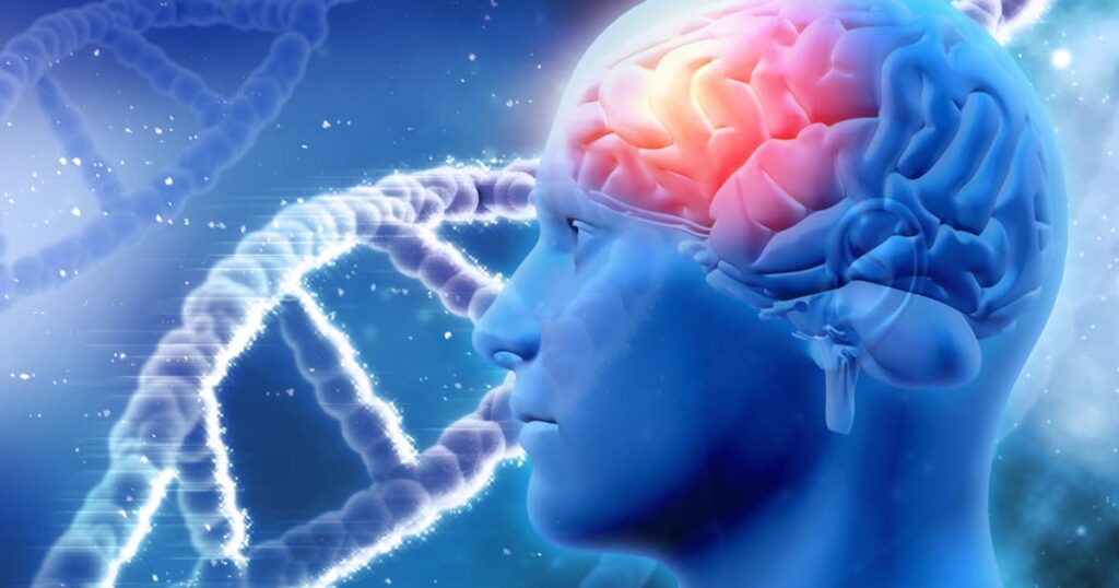 An illustration of a brain with "Dopamine" and "Cortisol" spikes, showing the chemical reaction to anger.