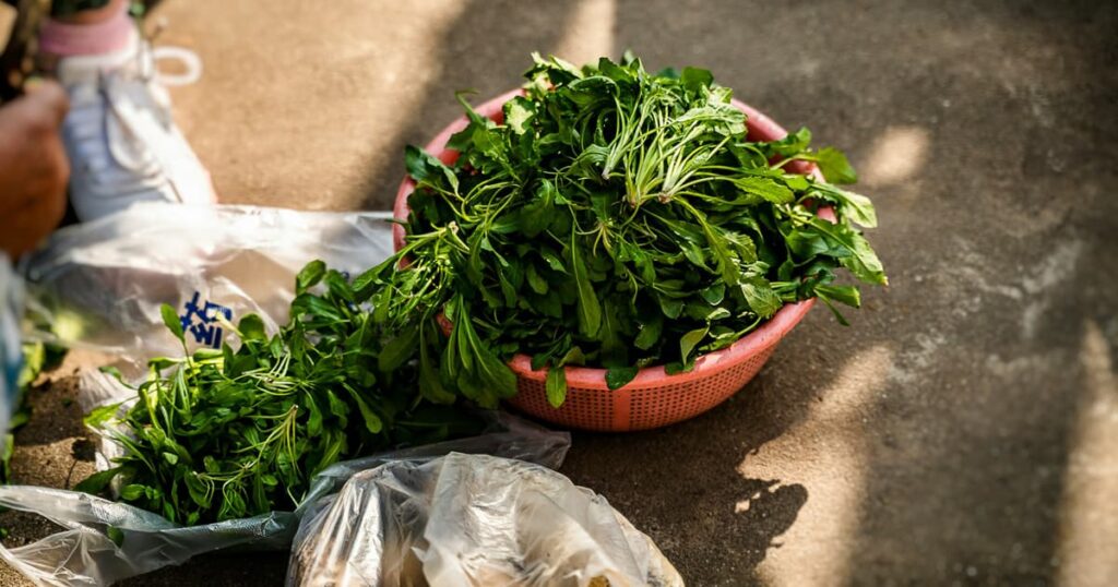 A bag of rotting spinach representing food waste in the fridge.