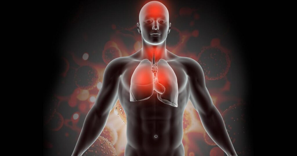 An illustration showing the adrenal glands or a human body with stress points highlighted red.